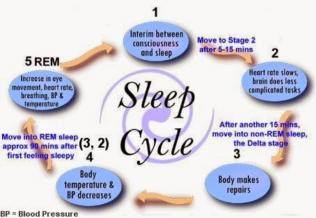 The Miracle Hormone – Melatonin